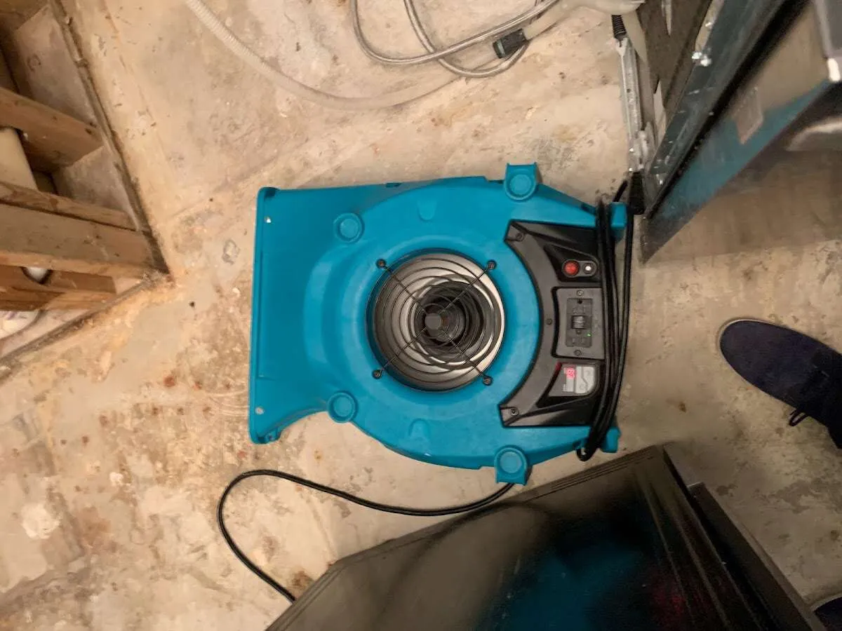 Air mover drying equipment for Mold Remediation & Removal in Los Fresnos